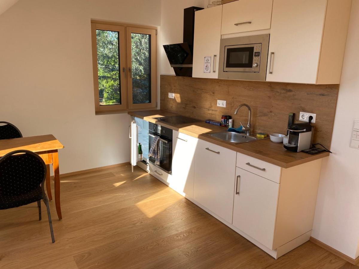 Salzburg-Loft Im Stadtteil Leopoldskron-Moos 120Qm Mit Balkon & Untersbergblick Zewnętrze zdjęcie